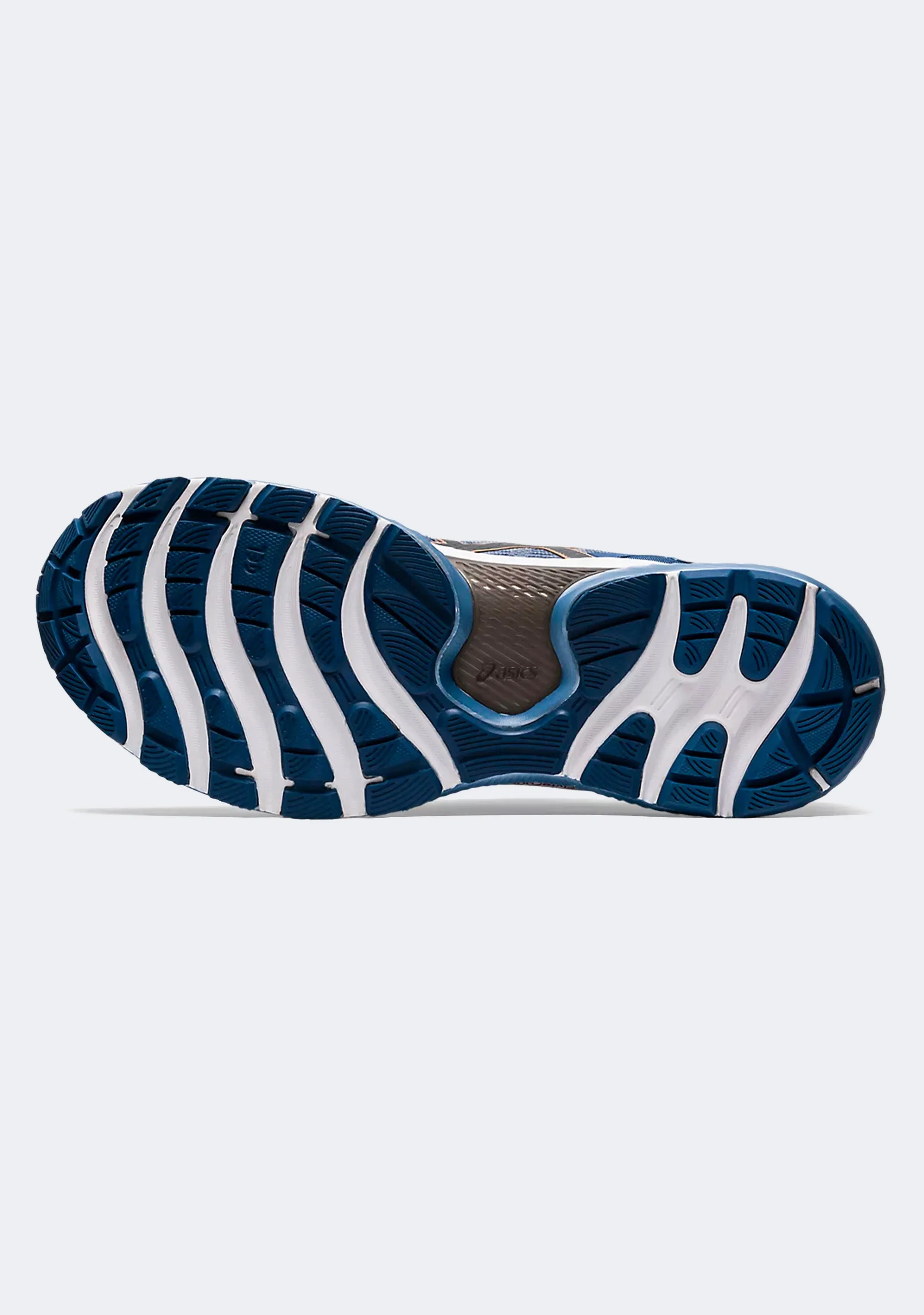 Asics Men's Gel Nimbus 22