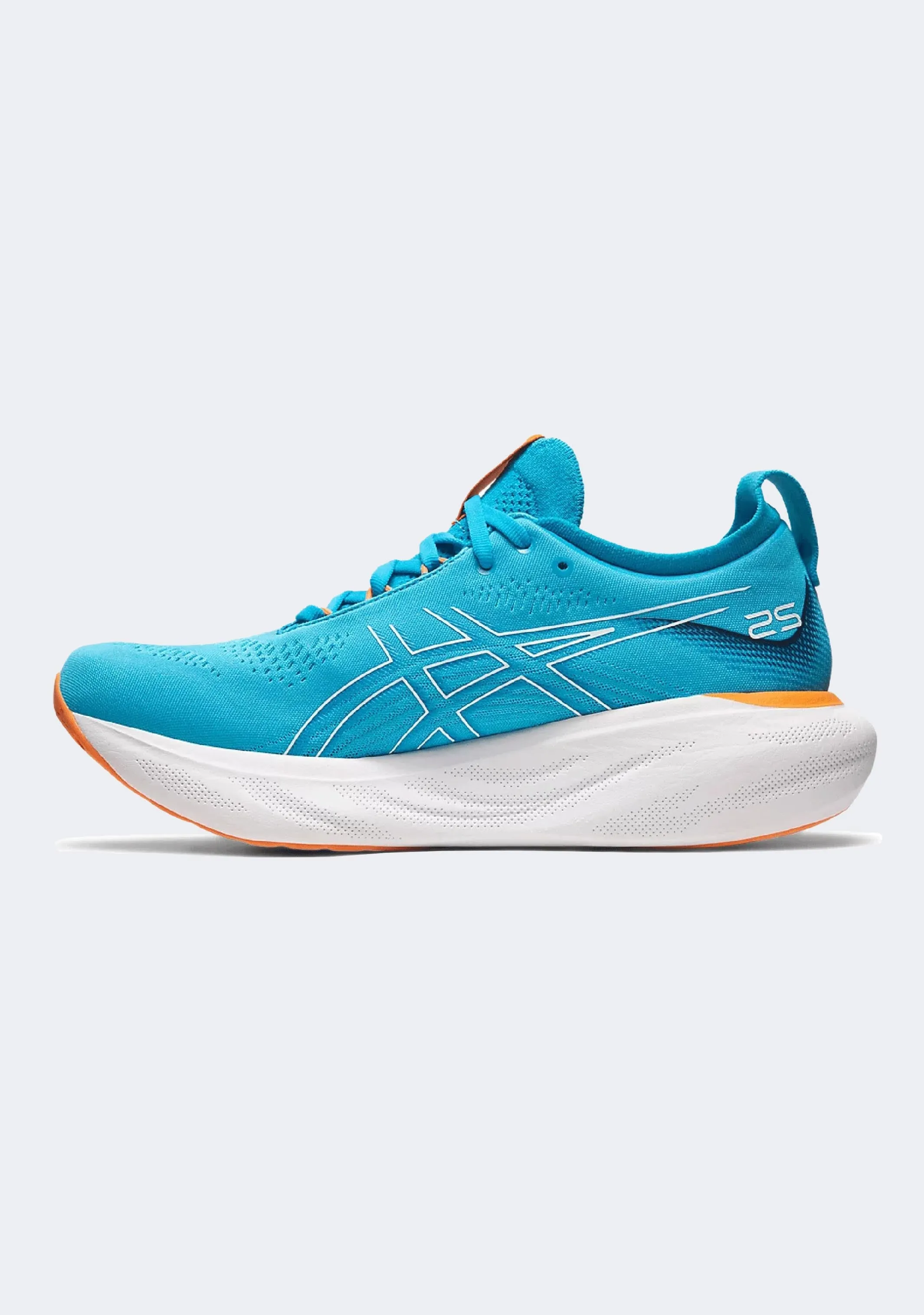 Asics Men's Gel Nimbus 25