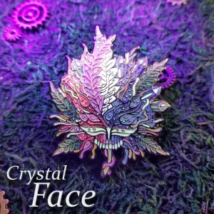 Crystal Face Pin