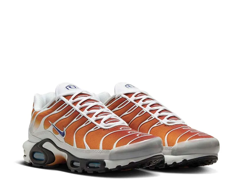 Nike Shoes Nike Air Max Plus One Black Down "Reverse"