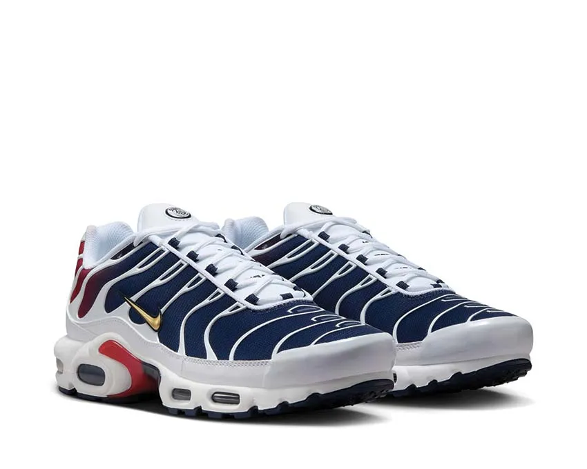 Nike Shoes Nike Air Max Plus "PSG"
