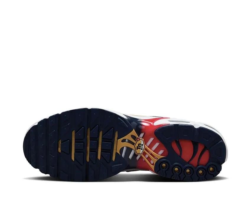 Nike Shoes Nike Air Max Plus "PSG"