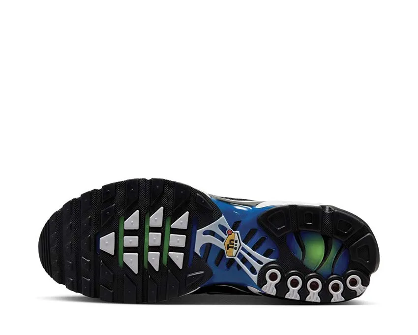 Nike Shoes Nike Air Max Plus "Royal Checker"
