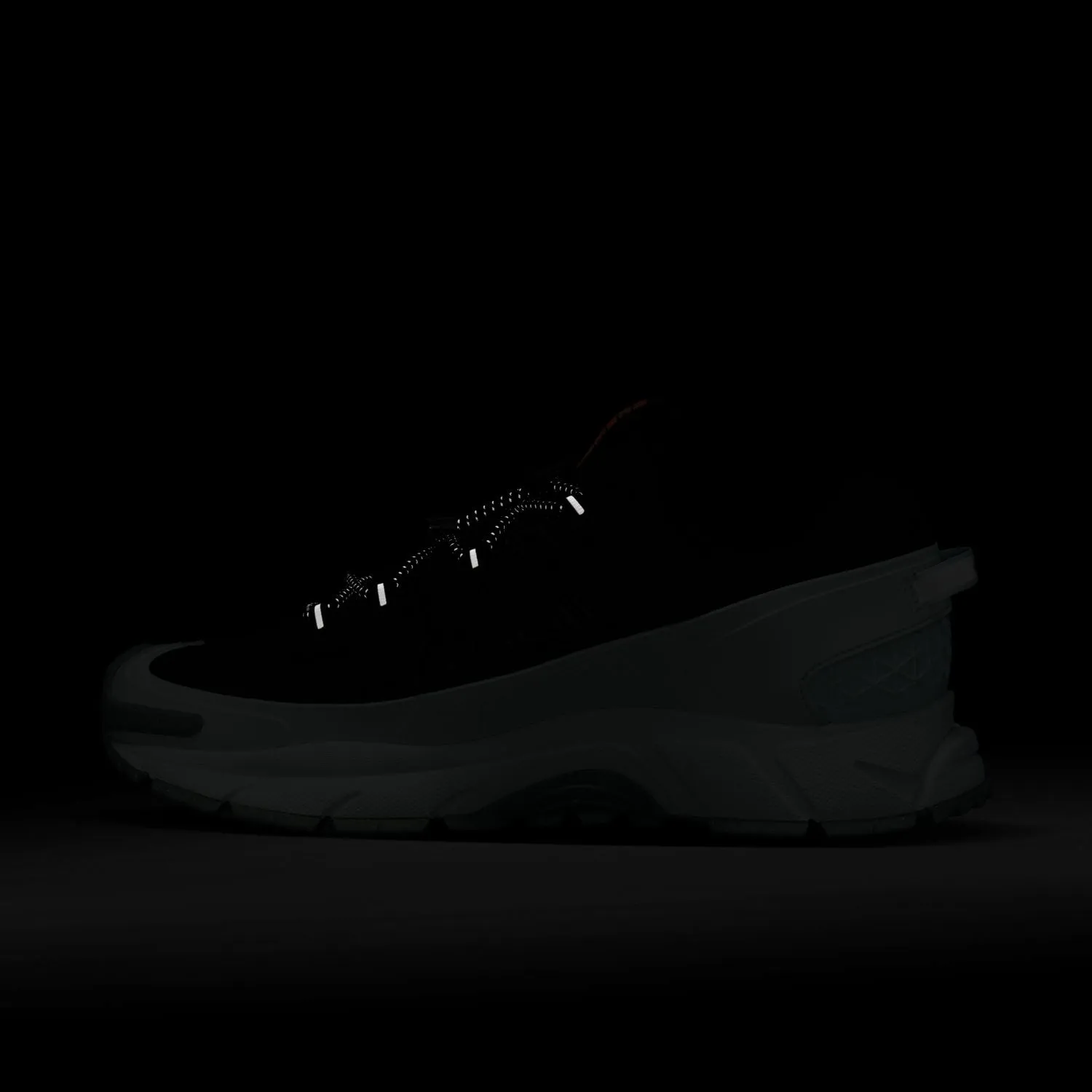 Zoom Vomero Roam 'Black Light Silver'